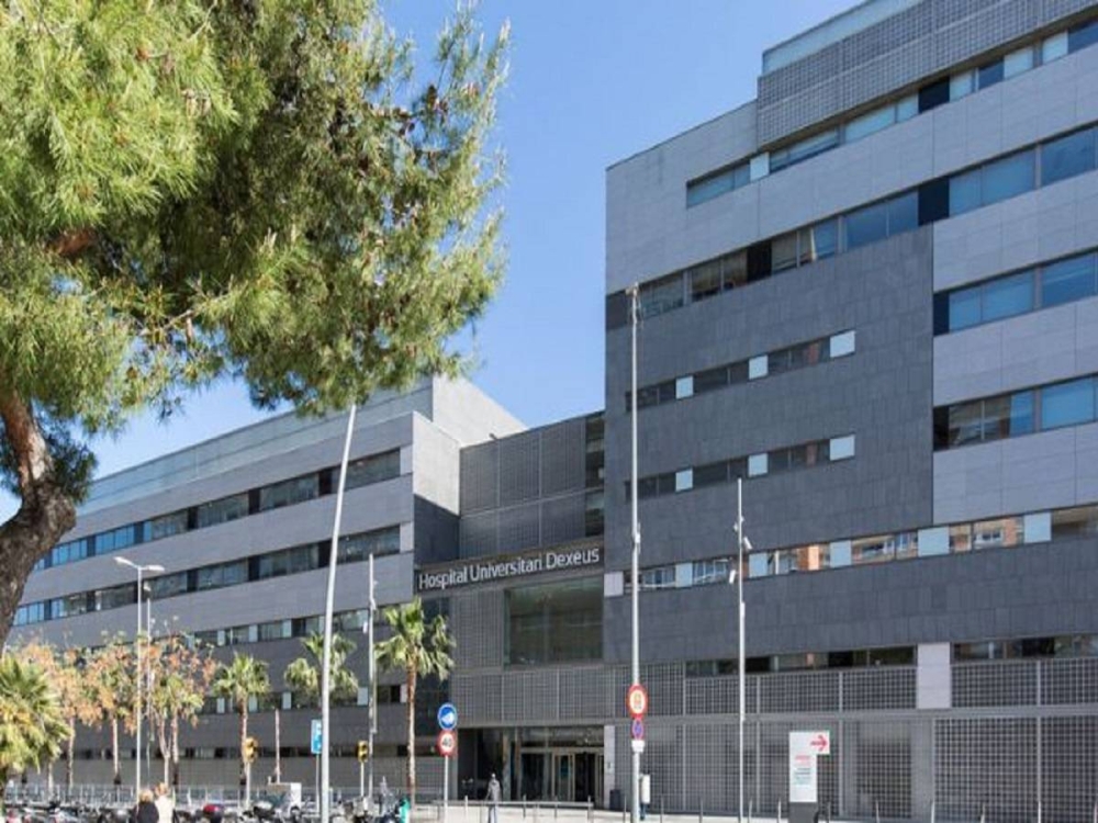 بكتيريا جديدة تسرّع تطوُّر تصلب الشرايين في اكتشاف علمي مثير