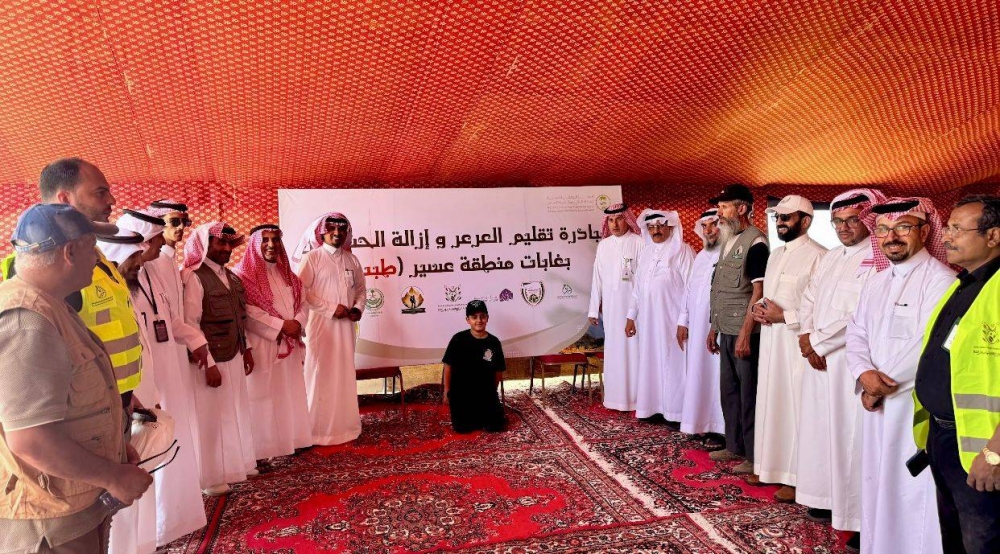 تقليم أشجار العرعر في غابات عسير يشهد انطلاقة جديدة