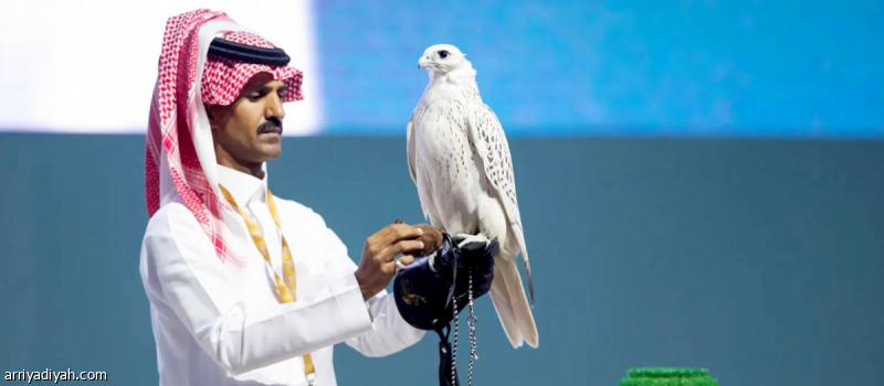 مزاد دولي لمزارع إنتاج الصقور ينطلق في أغسطس بملهم شمال الرياض