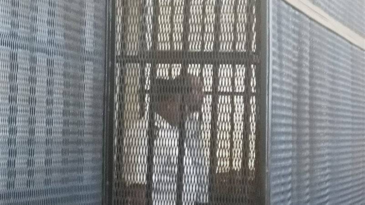 مصر تصدر حكم الإعدام على «سفاح المعمورة» بعد جريمته البشعة بقتل زوجته ودفن الضحايا تحت البلاط